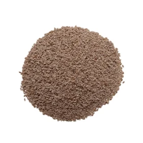 Psyllium Seeds (Isabgol)